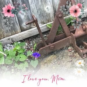 Meet your Posher, Georgi